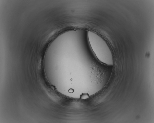 X0000093560596200710150958