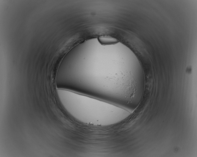 X0000093560597200710150958