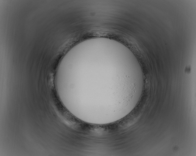 X0000093560598200710150958