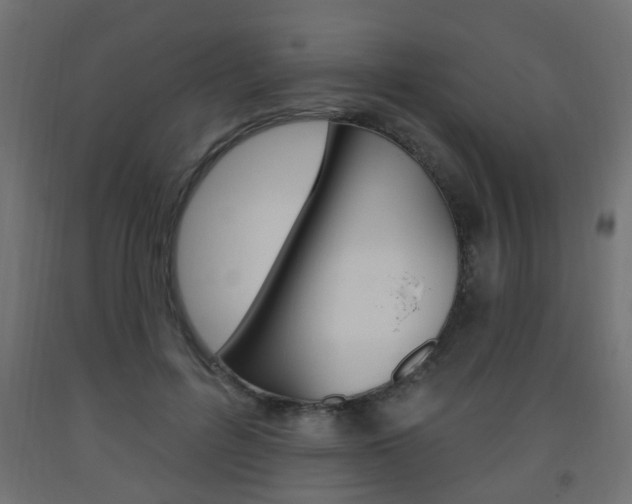 X0000093560600200710150958