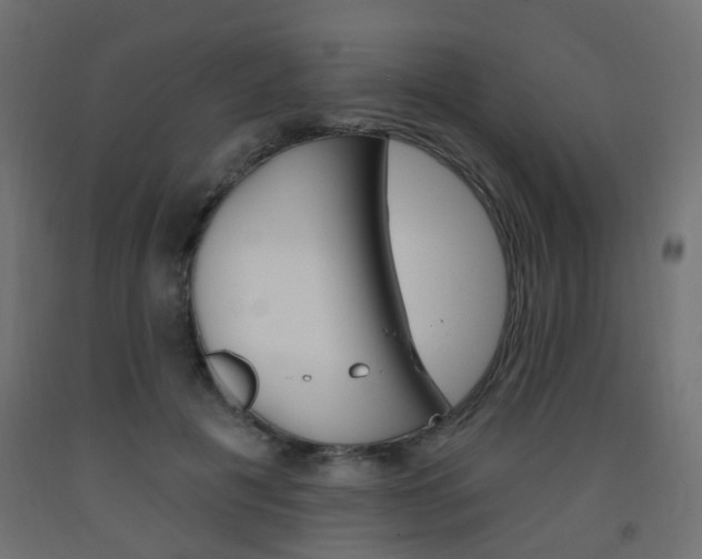 X0000093560601200710150958