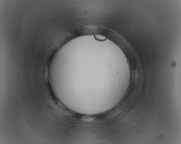 X0000093560602200710150958