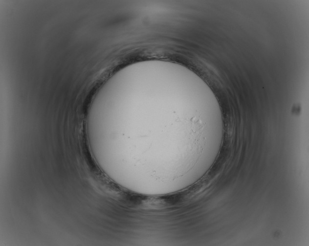X0000093560603200710150958