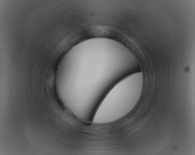 X0000093560604200710150958