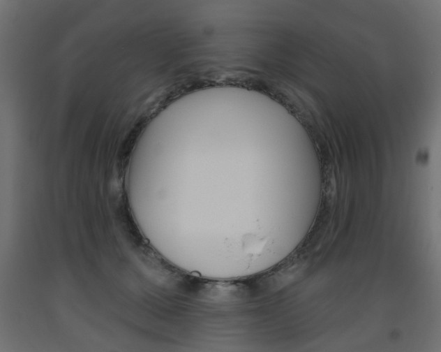X0000093560607200710150958