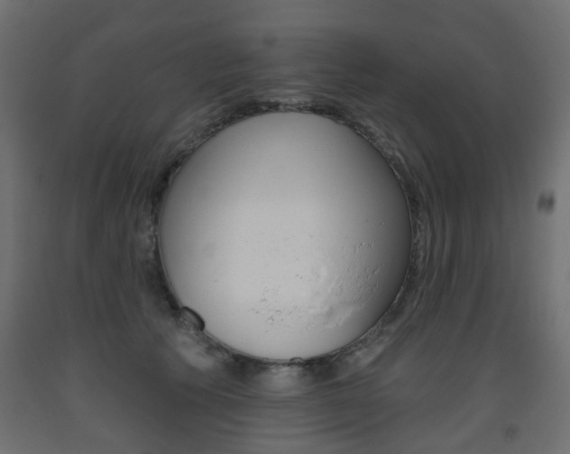 X0000093560609200710150958