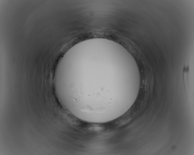 X0000093560610200710150958