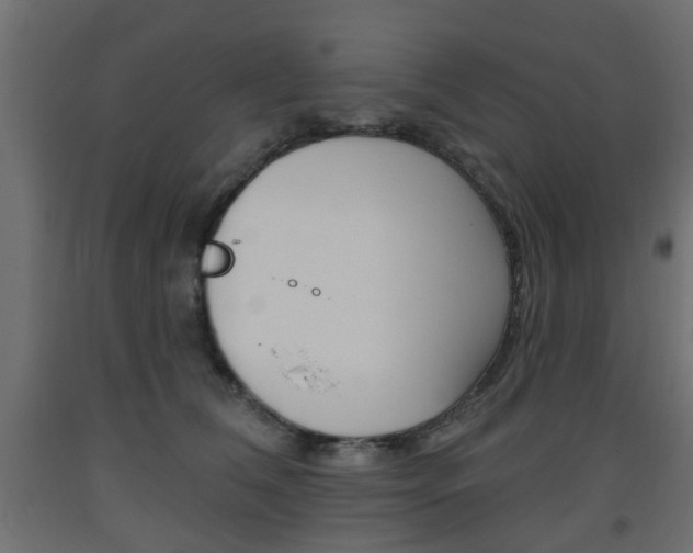 X0000093560612200710150958