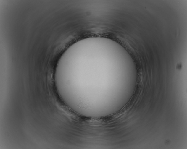X0000093560615200710150958