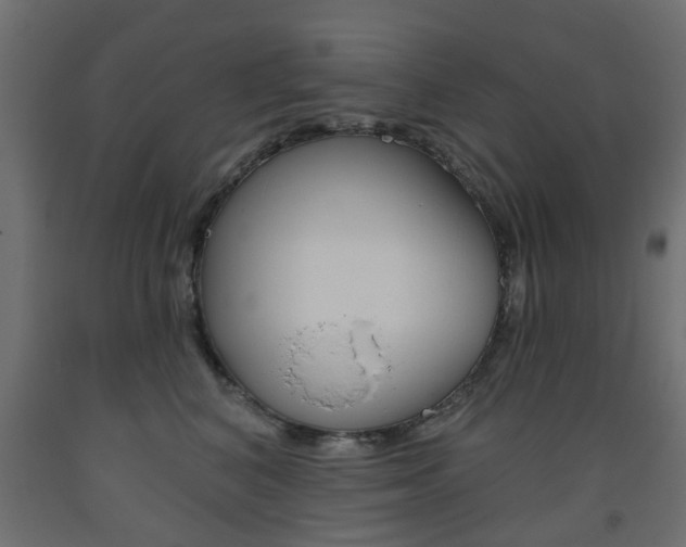 X0000093560616200710150958