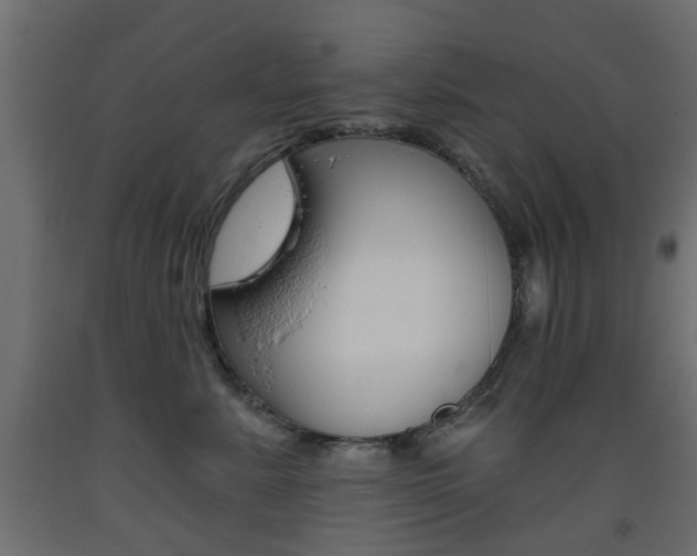 X0000093560619200710150957