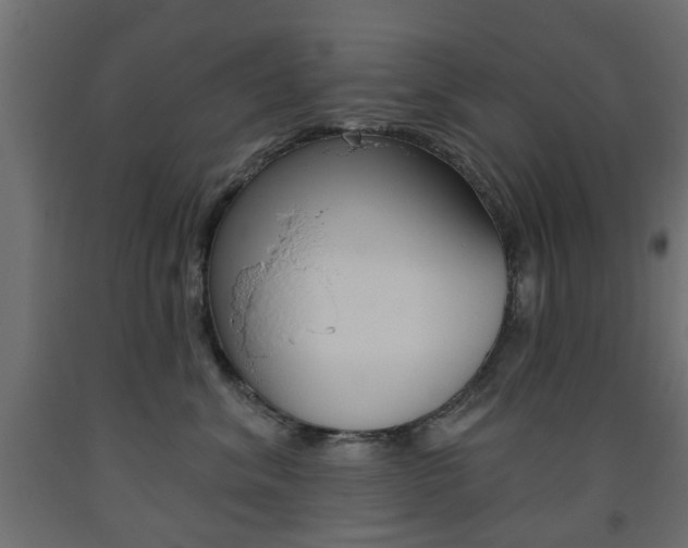 X0000093560620200710150957
