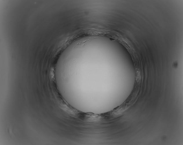 X0000093560621200710150957