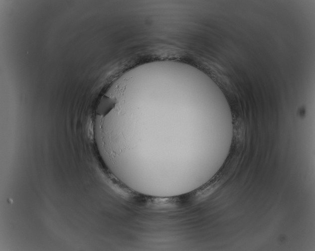 X0000093560622200710150957