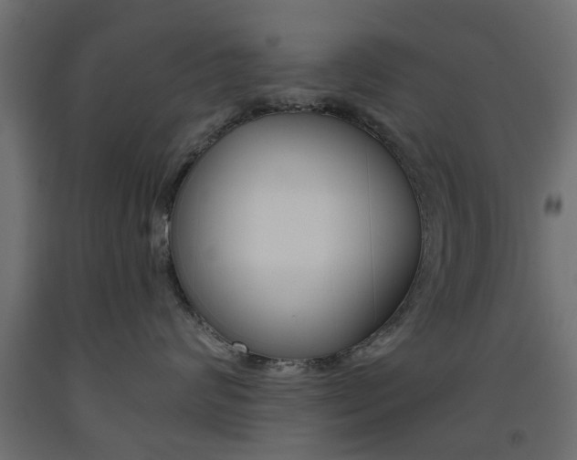 X0000093560624200710150957