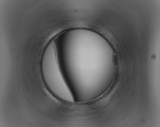X0000093560625200710150957