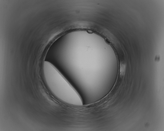 X0000093560627200710150957
