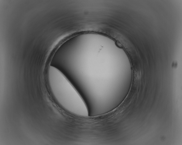 X0000093560628200710150957