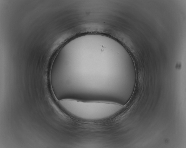 X0000093560629200710150957