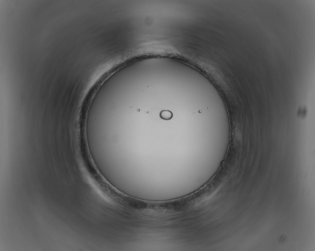 X0000093560630200710150957