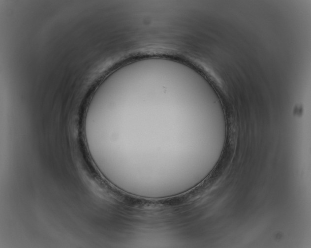 X0000093560631200710150957
