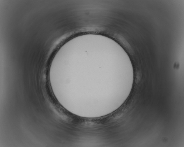 X0000093560632200710150957