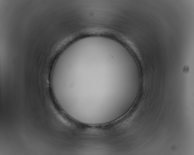 X0000093560633200710150957