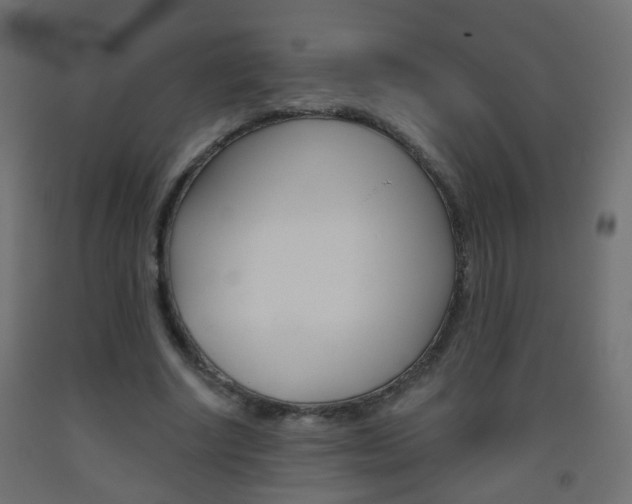 X0000093560634200710150957