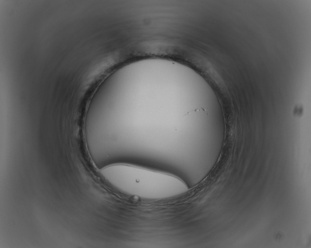 X0000093560635200710150957