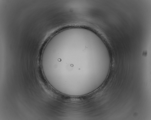 X0000093560636200710150957
