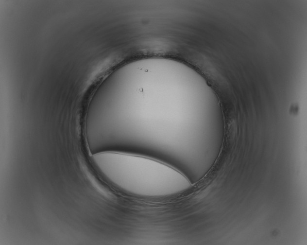 X0000093560638200710150957