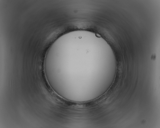 X0000093560639200710150957