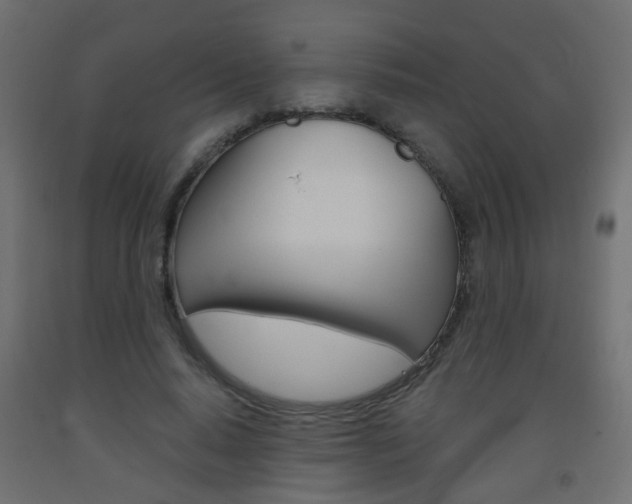 X0000093560640200710150957
