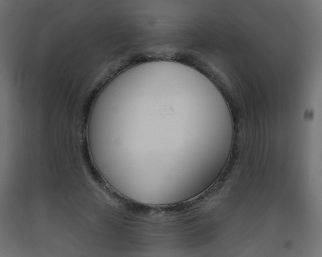 X0000093560641200710150957