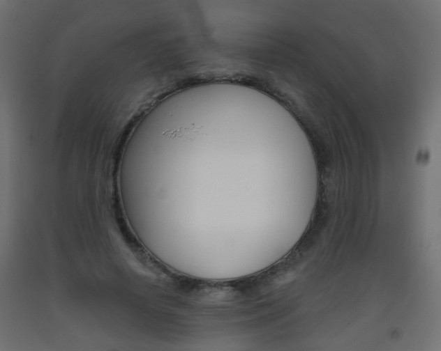 X0000093560642200710150957