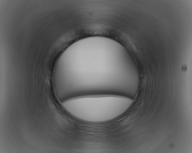 X0000093560643200710150957