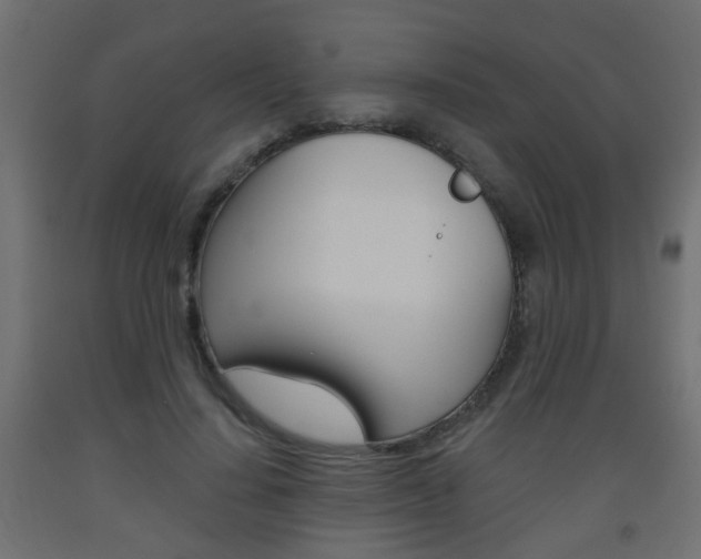 X0000093560644200710150957