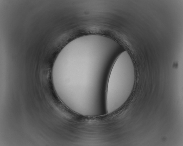 X0000093560645200710150957