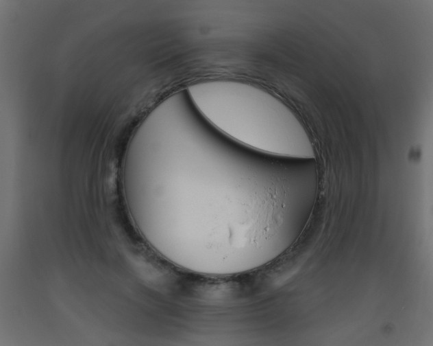 X0000093560646200710150957