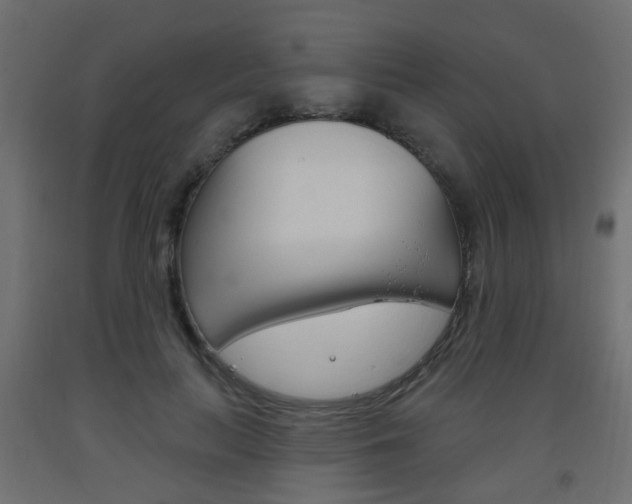 X0000093560647200710150957