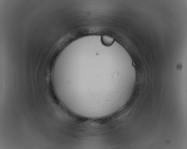 X0000093560648200710150957