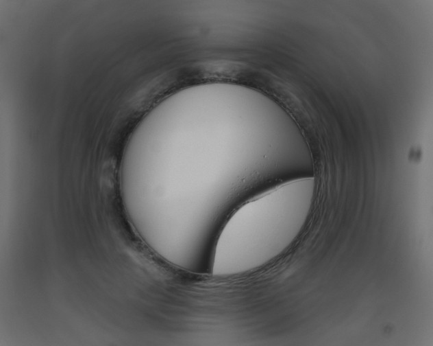X0000093560649200710150957