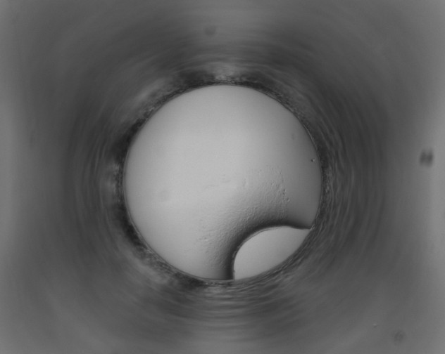 X0000093560650200710150957