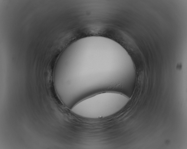 X0000093560651200710150957