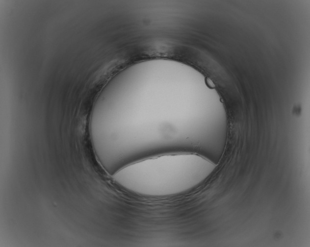 X0000093560652200710150957