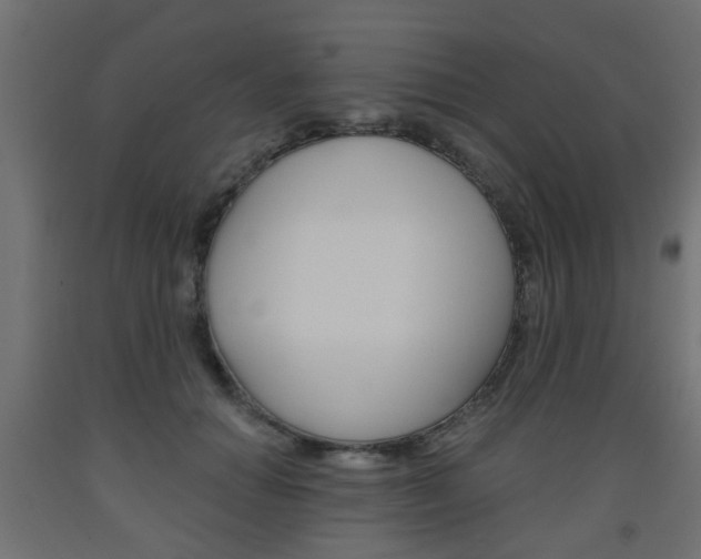 X0000093560654200710150957