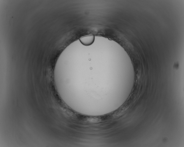 X0000093560659200710150957