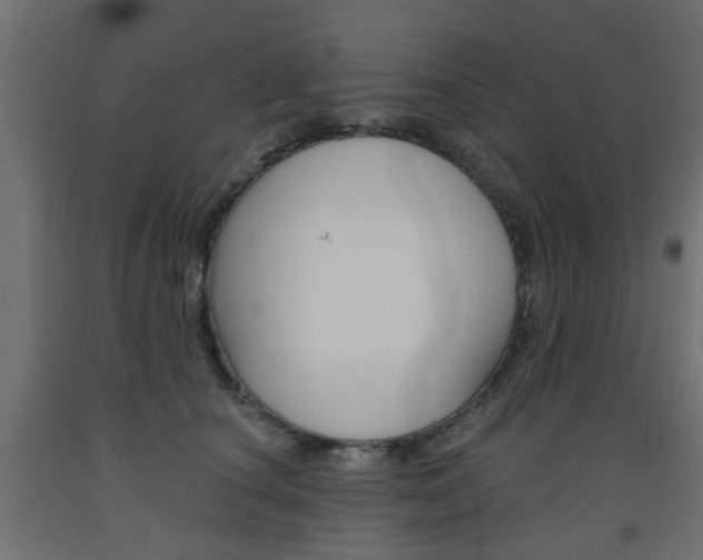 X0000093560660200710150957
