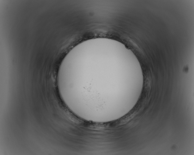 X0000093560661200710150957