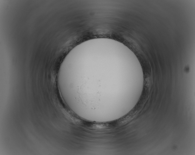 X0000093560662200710150957